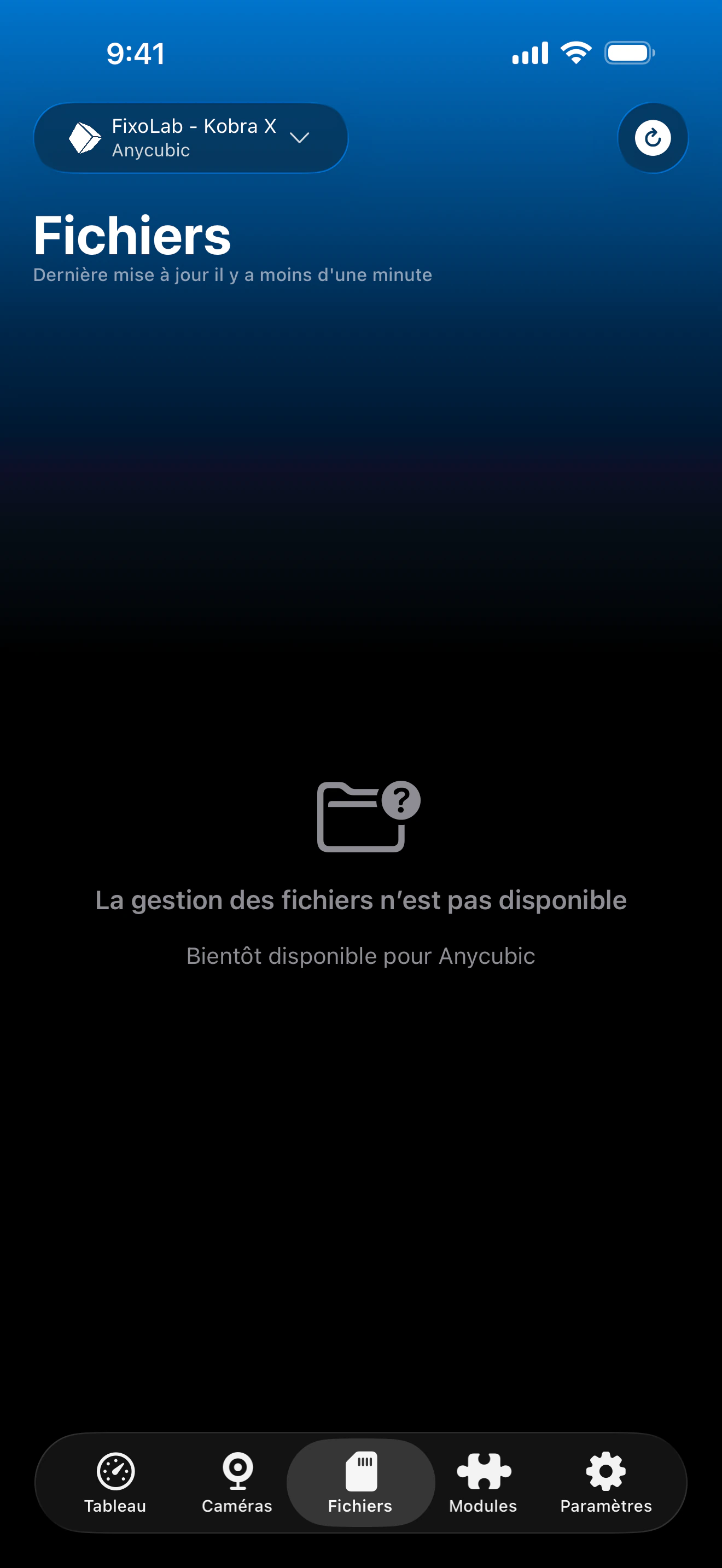 État de gestion des fichiers Anycubic dans Printer Tools