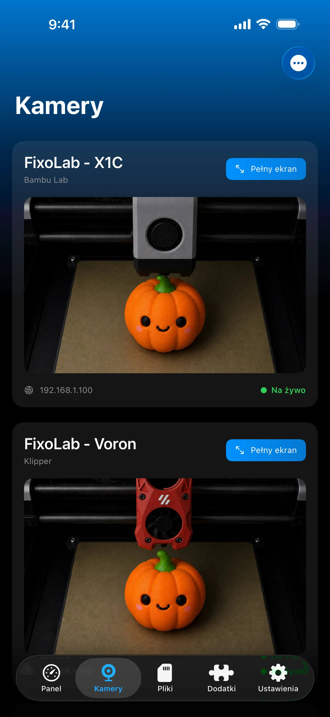 Opcje VPN, OctoEverywhere i Obico dla drukarki w Printer Tools